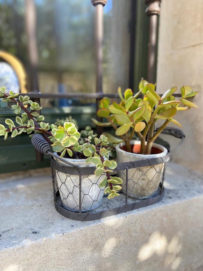 Le Jardinet De Rosa Maison De Village Eygalières Eksteriør billede